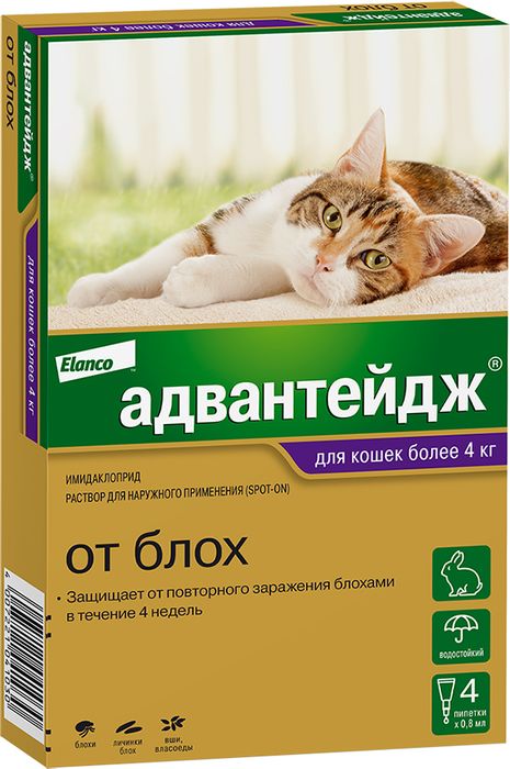 Elanco Адвантейдж капли для котят и кошек более 4 кг, от блох, вшей, власоедов
