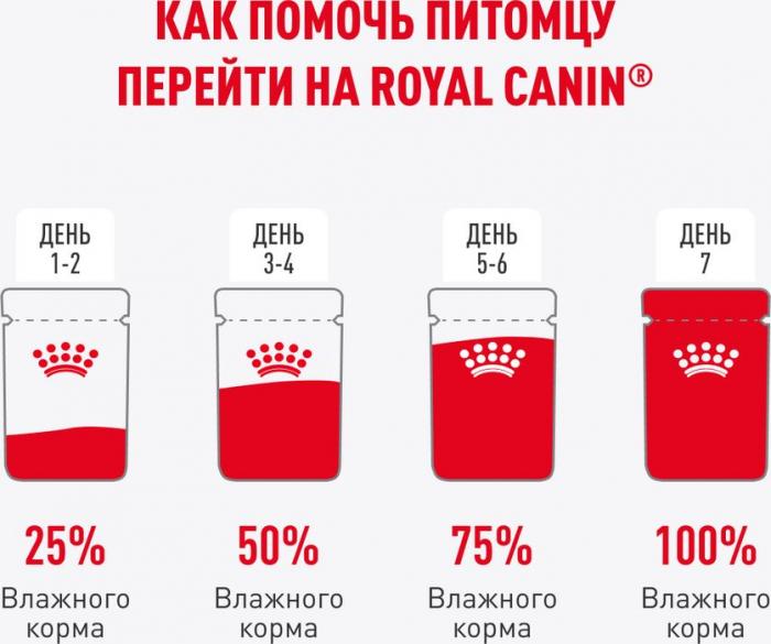 Royal Canin влажный корм для котят породы Мэйн Кун, кусочки в соусе