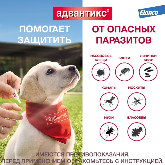 Elanco Адвантикс капли для щенков и собак до 4 кг, от клещей, блох и комаров