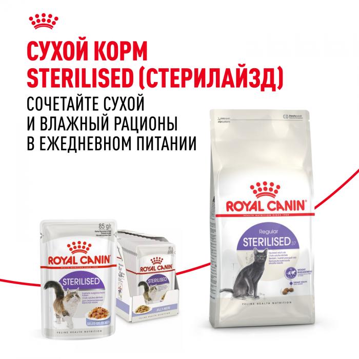 Royal Canin влажный корм для стерилизованных взрослых кошек всех пород, кусочки в желе