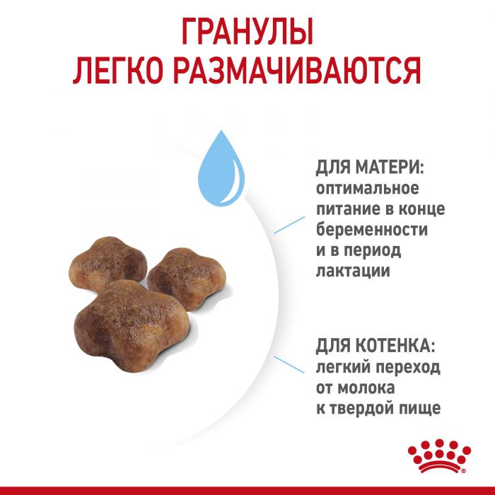 Royal Canin Kitten Mother&Baby cat сухой корм для котят и беременных кошек