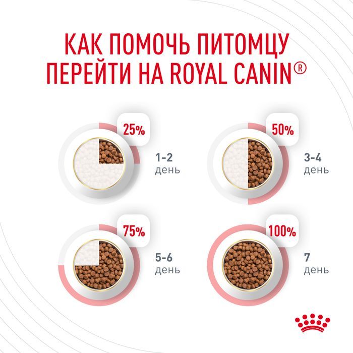 Royal Canin корм для взрослых кошек всех пород, вывод волосяных комочков