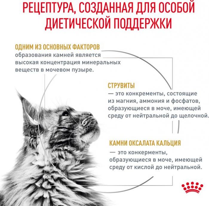 Royal Canin Urinary S/O влажный корм для кошек, при мочекаменной болезни, мелкие кусочки в соусе