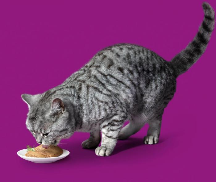 Whiskas влажный корм для кошек мясной паштет из курицы с индейкой