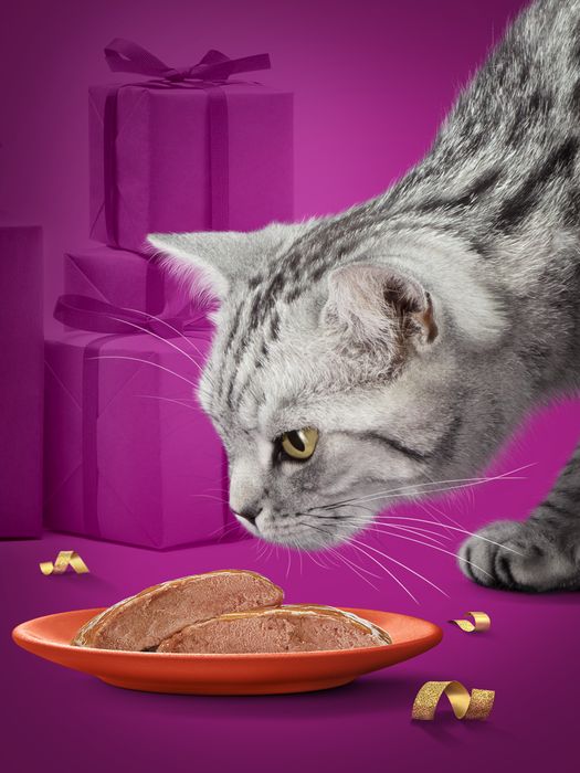 Whiskas влажный корм для кошек паштет с говядиной и индейкой