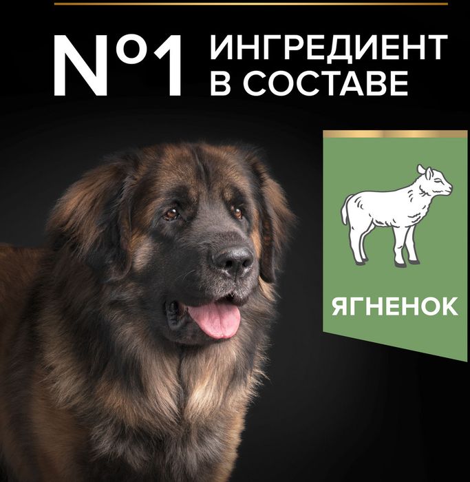 Сухой корм Pro Plan® Sensitive Digestion для взрослых собак крупных пород с мощным телосложением с чувствительным пищеварением, с высоким содержанием ягненка