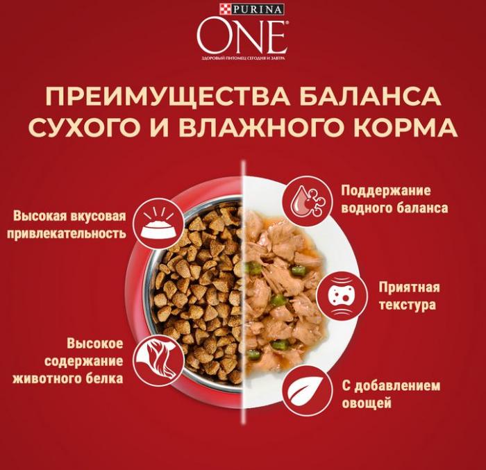 Сухой корм Purina ONE® Мини Чувствительная для взрослых собак мелких пород с чувствительным пищеварением, с лососем и рисом