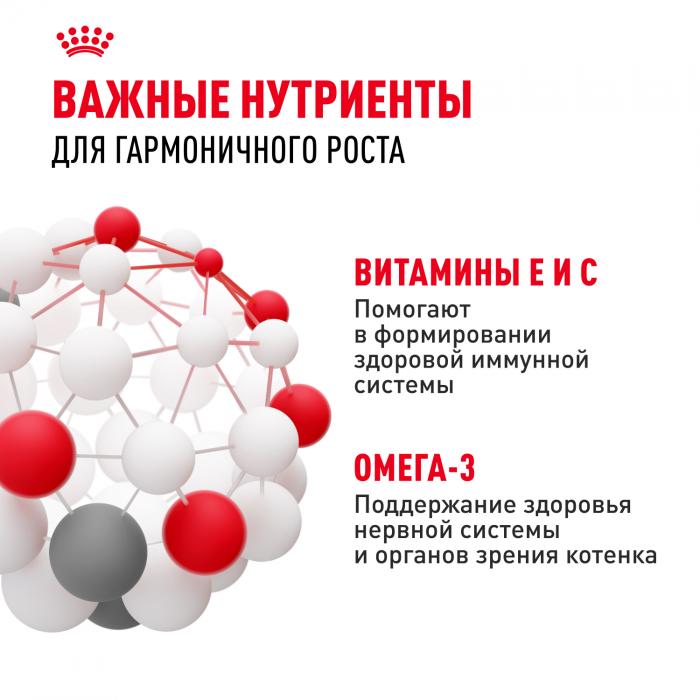 Royal Canin Kitten Instinctive влажный корм для котят от 4 до 12 месяцев в соусе