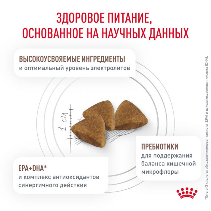 Royal Canin Gastro Intestinal лечебный сухой корм для кошек при нарушениях пищеварения