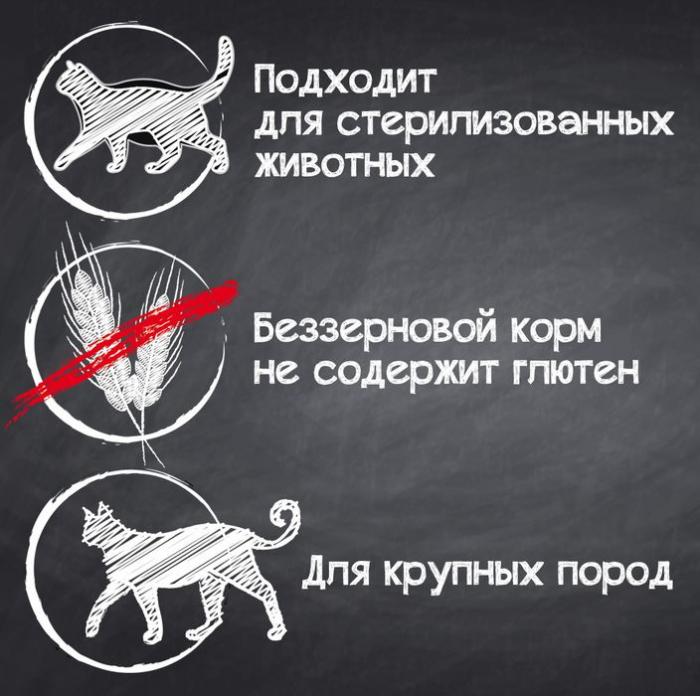Leonardo корм для взрослых кошек крупных пород