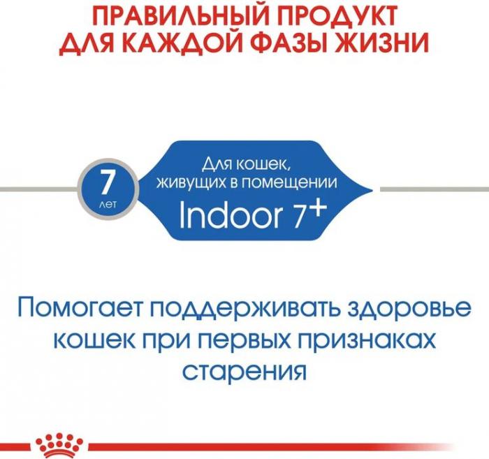 Royal Canin корм для пожилых кошек, живущих в помещении