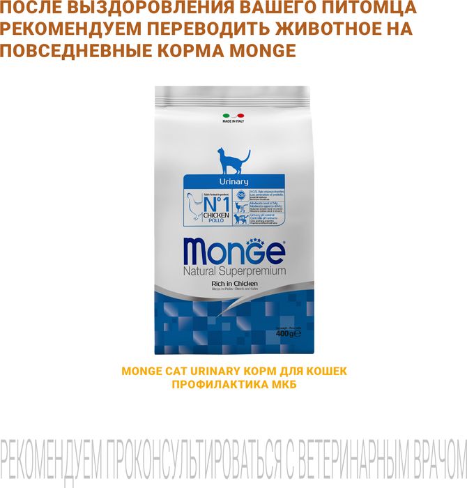 Monge VetSolution Cat Urinary Struvite диета лечебный корм для кошек при МКБ струвитного типа