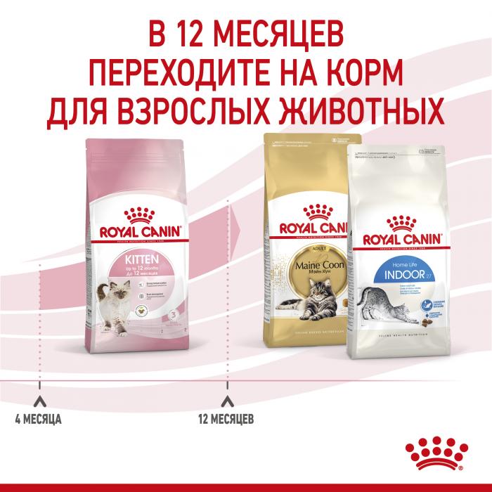 Royal Canin корм для котят всех пород