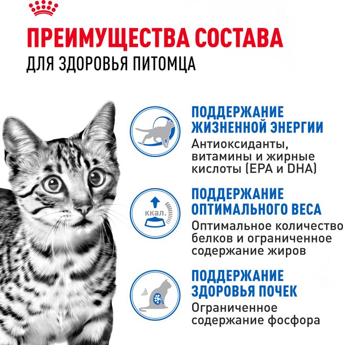 Royal Canin Indoor влажный корм для стерилизованных пожилых кошек, кусочки в соусе