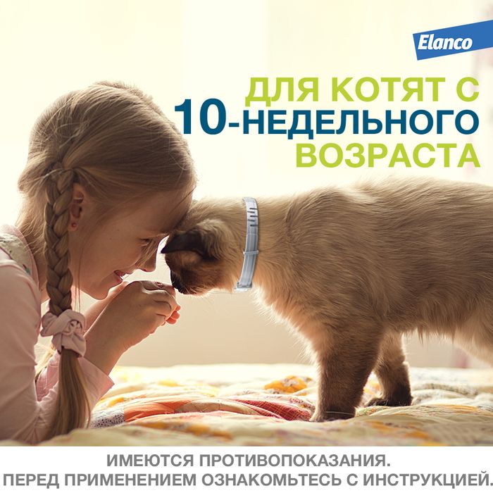 Elanco Форесто ошейник для котят и кошек, от клещей и блох