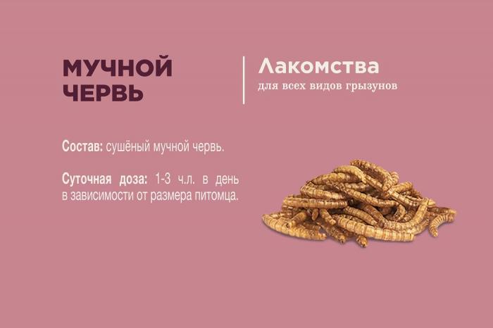 Little One лакомство для грызунов - Мучной червь