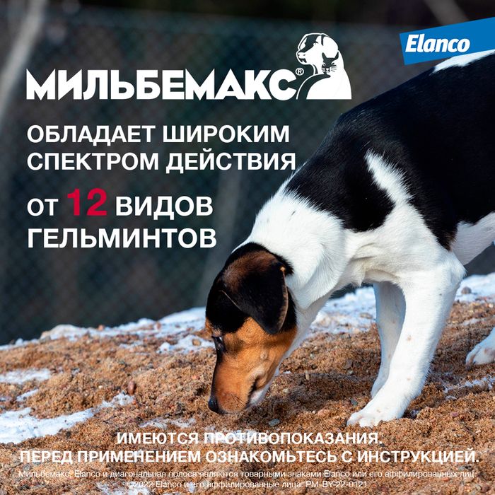 Elanco Мильбемакс таблетки для взрослых собак крупных пород, антигельминтик
