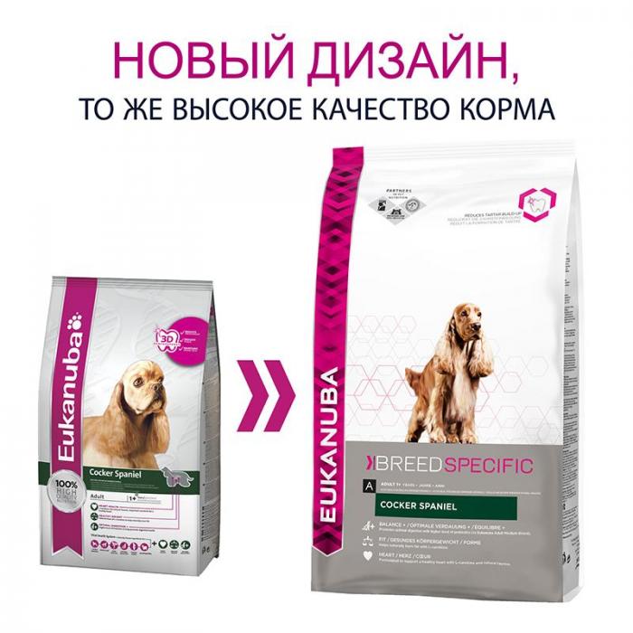 Eukanuba Cocker Spaniel сухой корм для собак породы кокер-спаниель