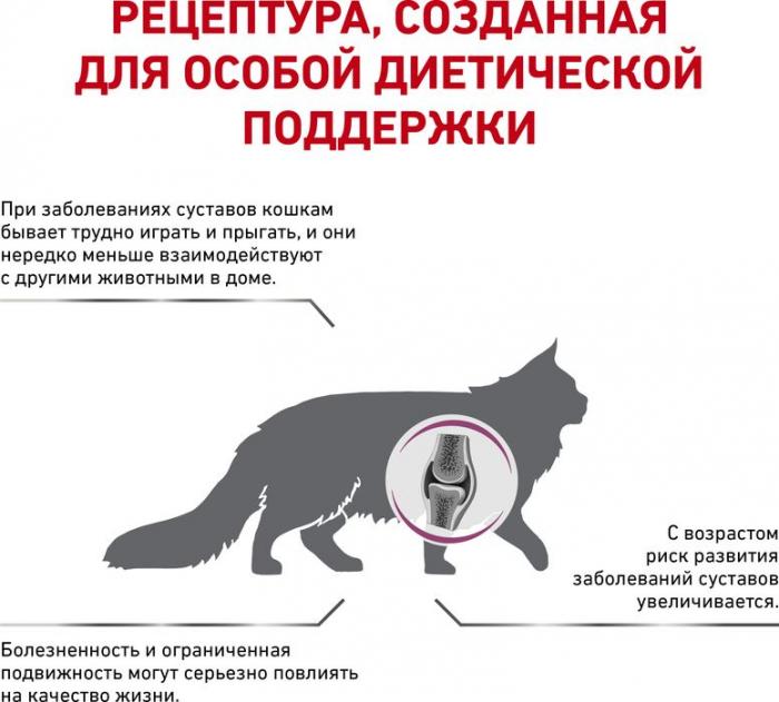 Royal Canin Mobility лечебный корм для кошек при заболеваниях опорно-двигательного аппарата