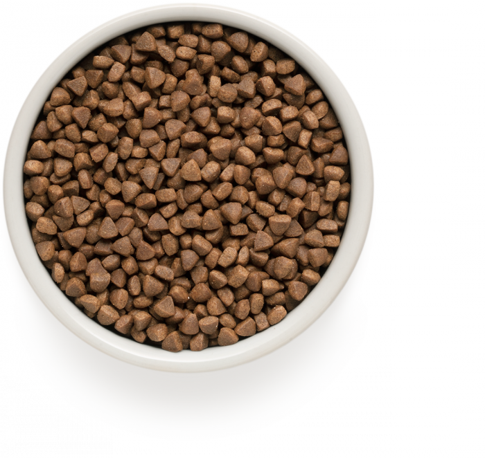 Grandorf Indoor корм для кошек с ягненком и рисом