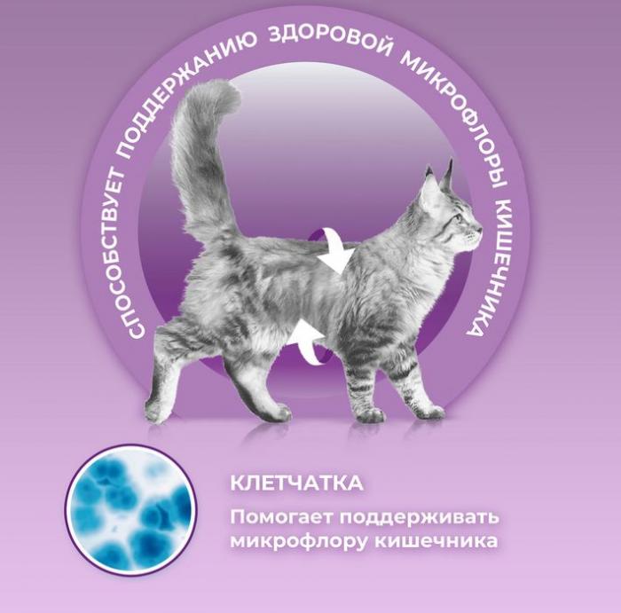 Влажный корм Purina ONE® для кошек особенно привередливых к вкусу, индейка и утка высокого качества с морковью