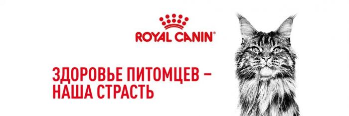 Royal Canin British Shorthair Adult сухой корм для кошек британской короткошерстной породы старше 12 месяцев