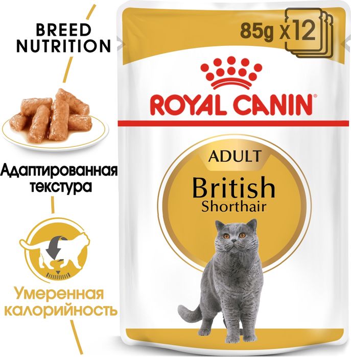 Royal Canin British Shorthair Adult влажный корм для кошек британской короткошерстной породы в соусе