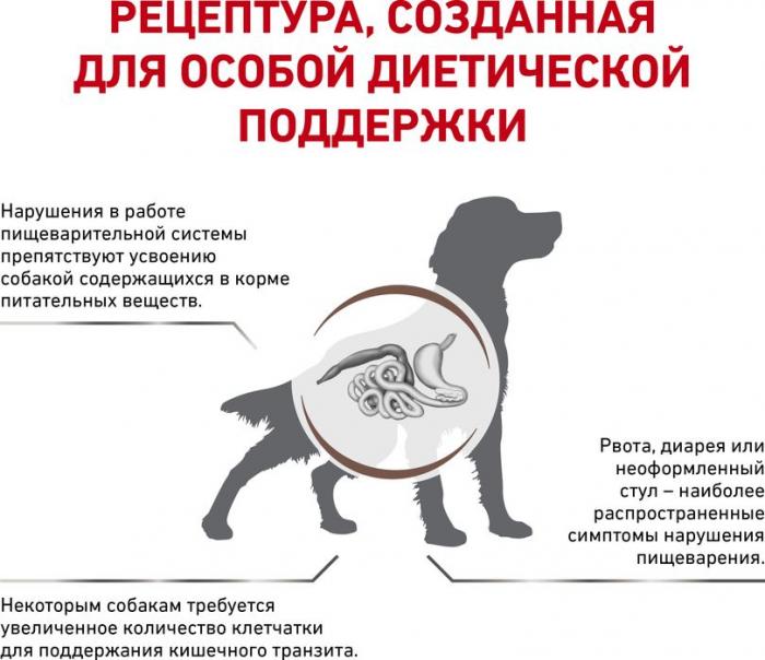Royal Canin Fibre Response лечебный корм для собак с повышенным содержанием клетчатки при нарушениях пищеварения