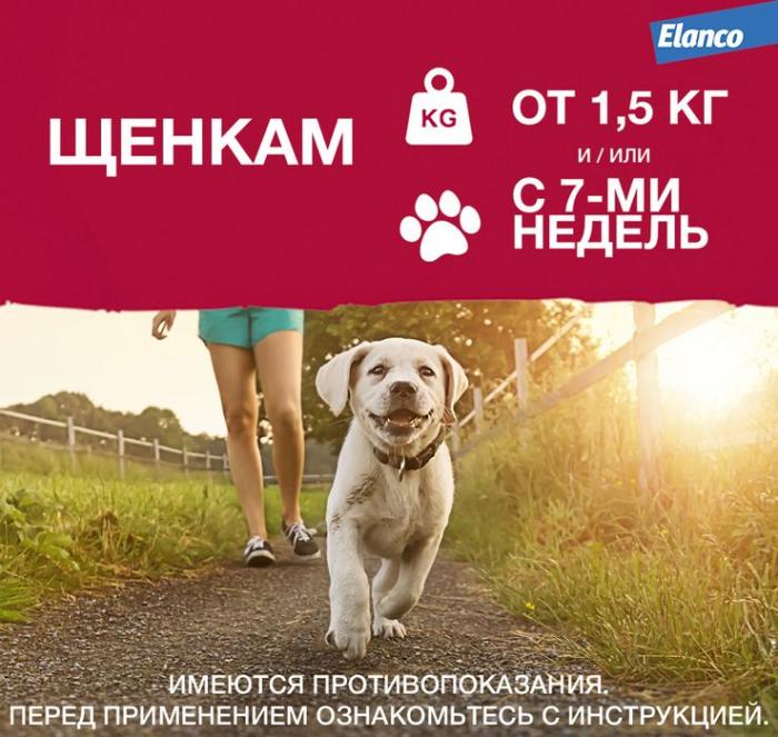 Elanco Адвантикс капли для щенков и собак до 4 кг, от клещей, блох и комаров