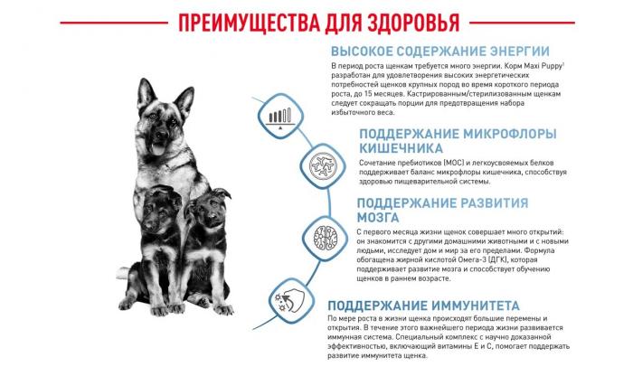 Royal Canin Maxi Puppy сухой корм для щенков крупных пород