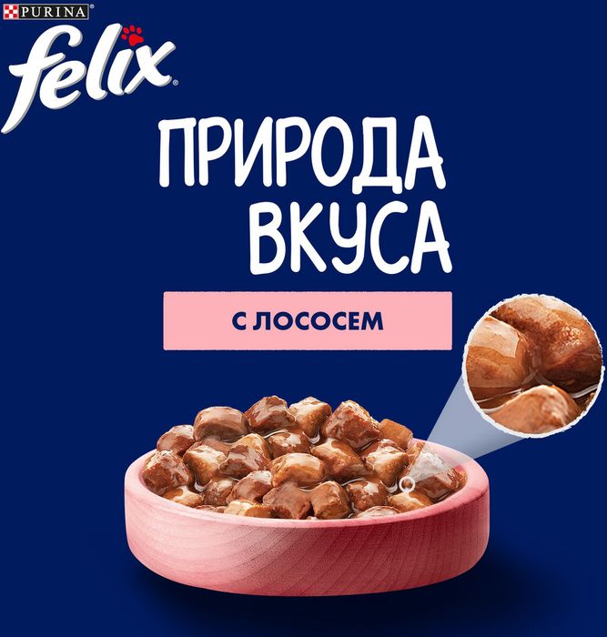 Влажный корм Felix® Природа вкуса для взрослых кошек, с лососем в соусе