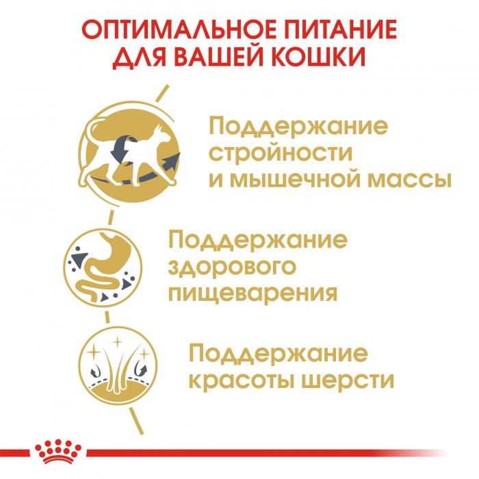 Royal Canin Siamese Adult сухой корм для сиамских кошек
