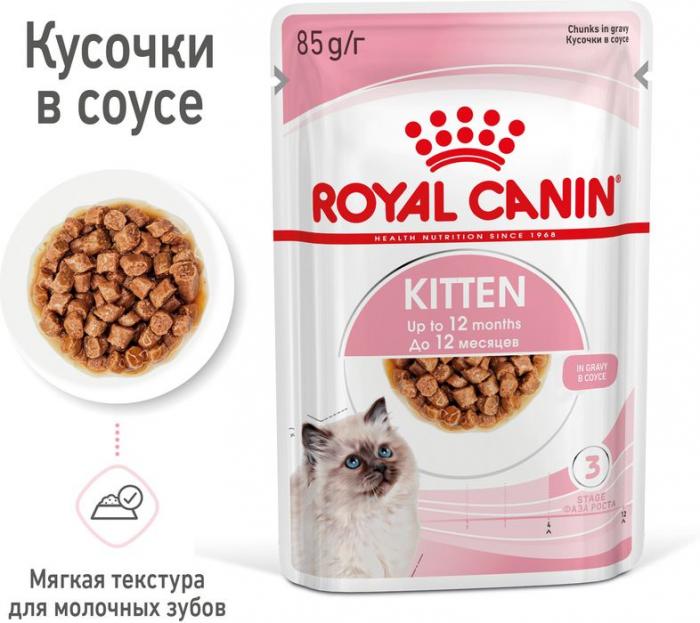 Royal Canin влажный корм для котят всех пород, в соусе