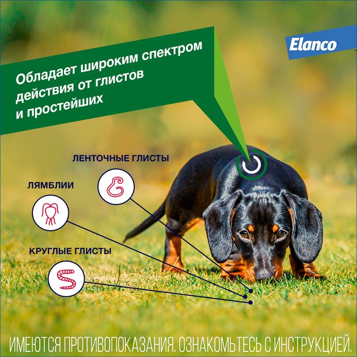 Elanco Дронтал плюс таблетки для собак малых и средних пород, от гельминтов, со вкусом мяса