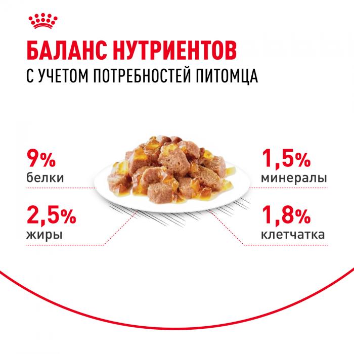 Royal Canin влажный корм для стерилизованных взрослых кошек всех пород, кусочки в желе