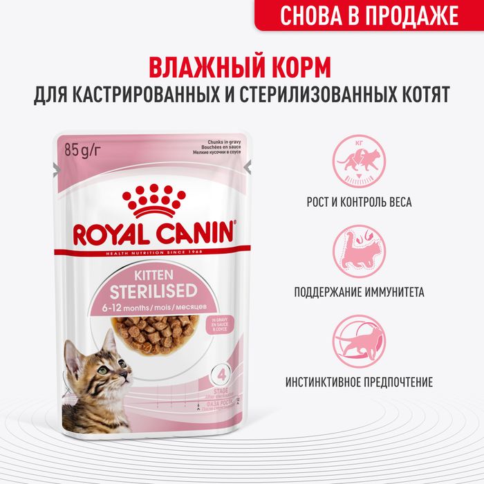 Royal Canin влажный корм для стерилизованных котят, кусочки в соусе