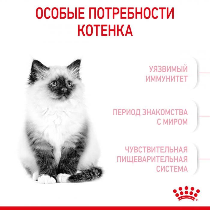 Royal Canin корм для котят всех пород