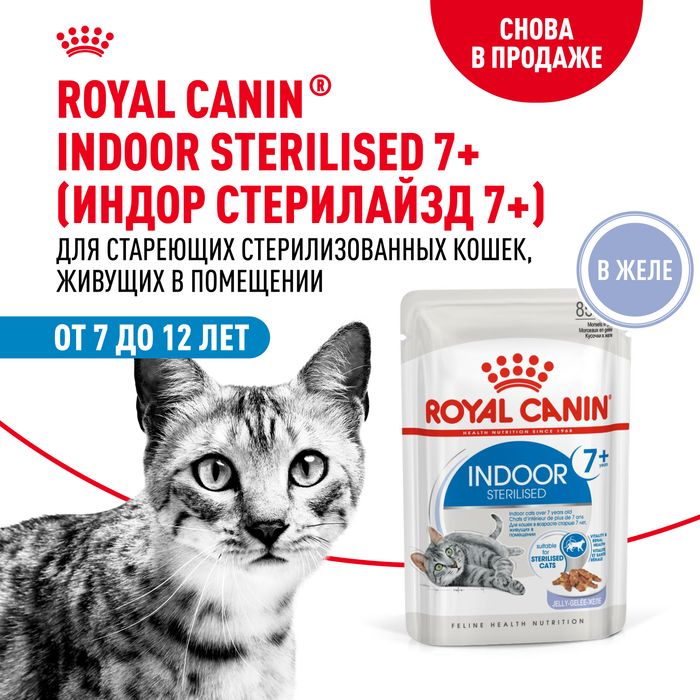 Royal Canin Indoor влажный корм для стерилизованных пожилых кошек, кусочки в желе