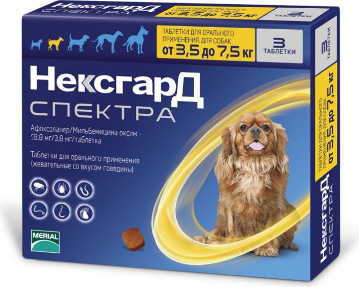 Boehringer Ingelheim Нексгард Спектра таблетки для собак 3,5-7,5 кг, от клещей, гельминтов и блох