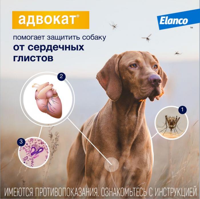 Elanco Адвокат капли для щенков и собак до 4 кг, от клещей, блох и гельминтов