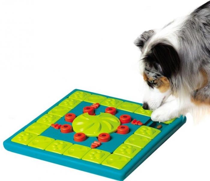 Nina Ottosson Multipuzzle игра-головоломка для собак, 4 (эксперт) уровень сложности