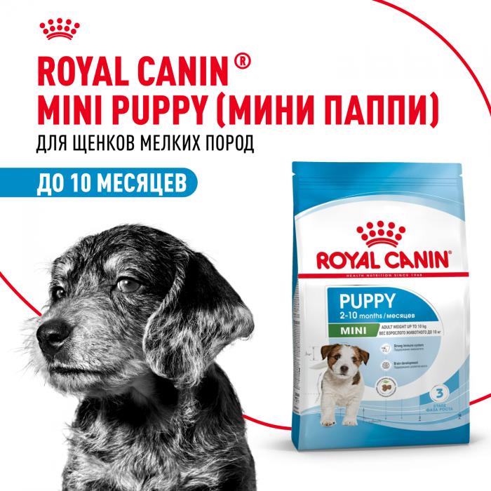 Royal Canin корм для щенков малых пород