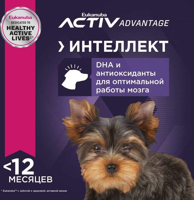 Eukanuba Puppy Toy Breed сухой корм для щенков миниатюрных пород с курицей
