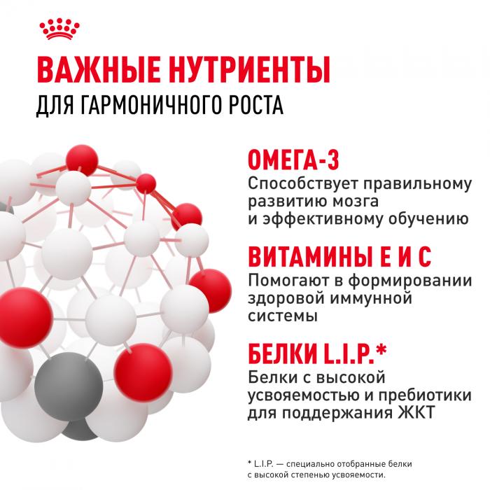 Royal Canin Medium Puppy сухой корм для щенков средних пород