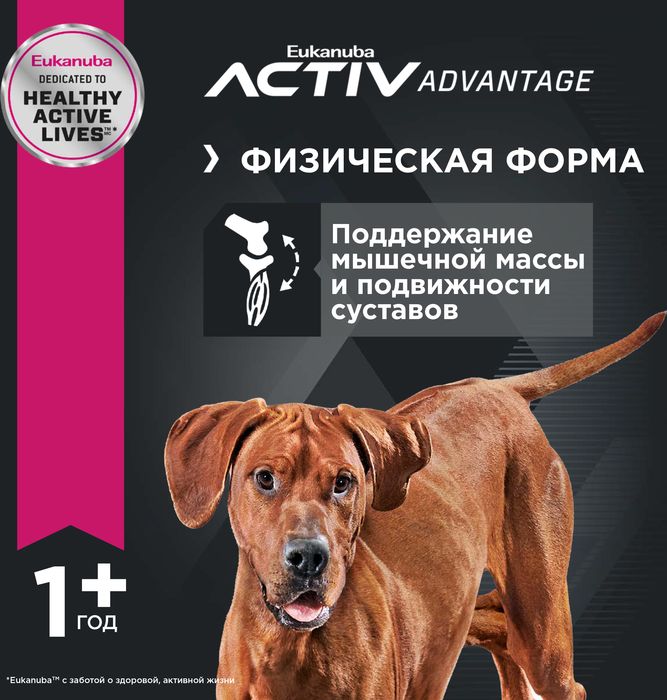 Eukanuba Adult Large Breed сухой корм для собак крупных пород с курицей