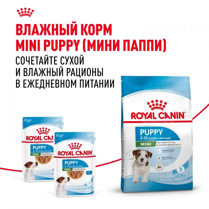 Royal Canin корм для щенков малых пород