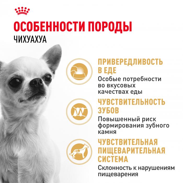 Royal Canin Chihuahua сухой корм для собак породы чихуахуа старше 8 месяцев