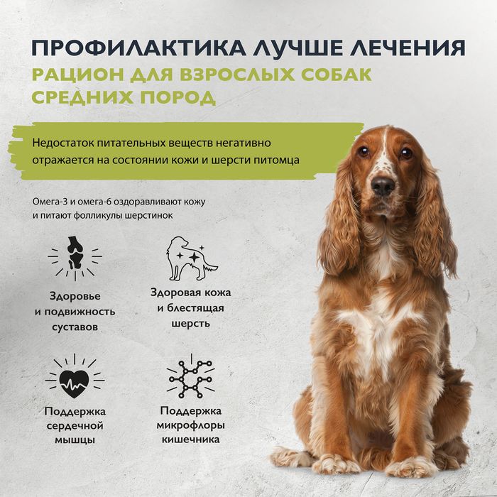 Brit Care Dog Adult M Healthy Skin&Shiny Coat корм для собак средних пород, лосось и индейка
