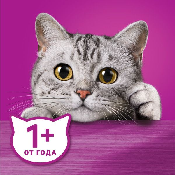 Whiskas влажный корм для кошек, мясная коллекция, кролик в желе