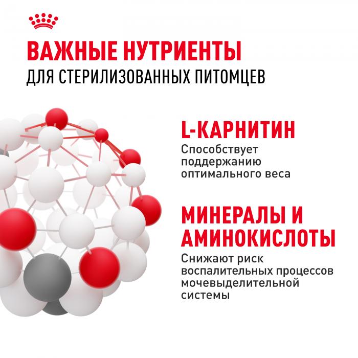 Royal Canin Sterilised 37 сухой корм для стерилизованных кошек и котов